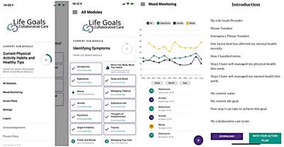 Digital mental health interventions for chronic serious mental illness: Findings from a qualitative study on usability and scale-up of the Life Goals app for bipolar disorder